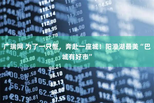 广瑞网 为了一只蟹，奔赴一座城！阳澄湖最美“巴城有好市”