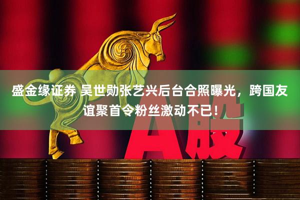 盛金缘证券 吴世勋张艺兴后台合照曝光，跨国友谊聚首令粉丝激动不已！