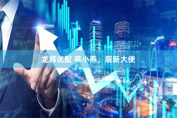 龙辉优配 蒋小燕，履新大使