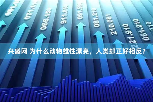 兴盛网 为什么动物雄性漂亮，人类却正好相反？