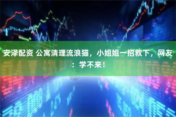 安泽配资 公寓清理流浪猫，小姐姐一招救下，网友：学不来！