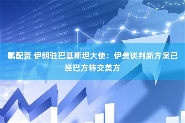 鹏配资 伊朗驻巴基斯坦大使：伊美谈判新方案已经巴方转交美方